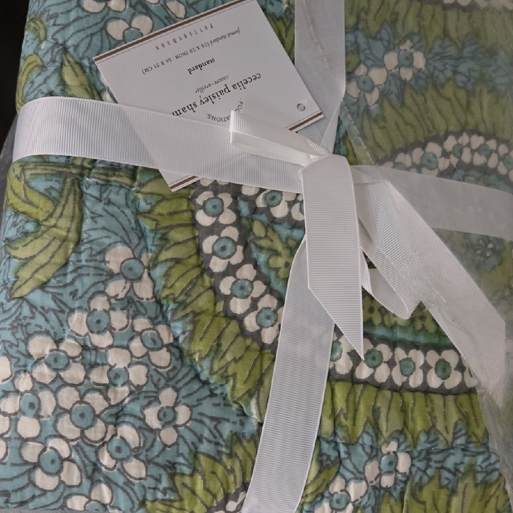 NEW Pottery Barn Cecelia Paisley Sham in Blue and Green 2 Pcs 26 Inc × 20 Inch - Picture 3 of 3